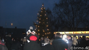 Miniature af billede nummer 1039