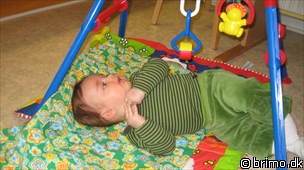 Miniature af billede nummer 1045