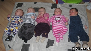 Miniature af billede nummer 1046