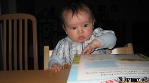 Miniature af billede nummer 1049