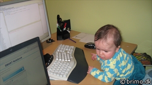 Miniature af billede nummer 1065