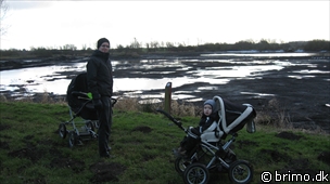 Miniature af billede nummer 1074