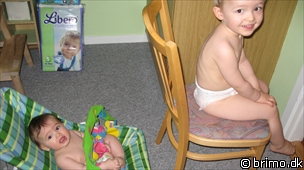 Miniature af billede nummer 1079