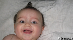 Miniature af billede nummer 1080