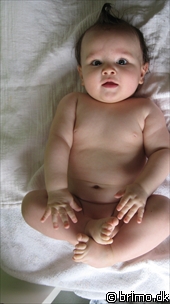 Miniature af billede nummer 1081