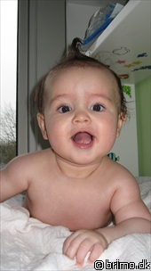 Miniature af billede nummer 1082