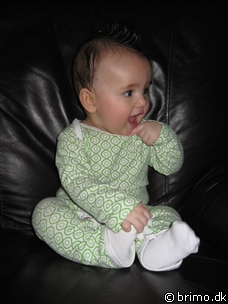 Miniature af billede nummer 1083