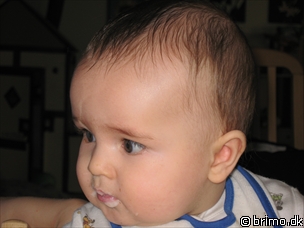 Miniature af billede nummer 1086