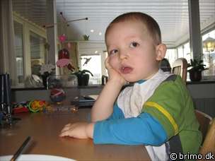 Miniature af billede nummer 1087