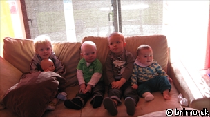 Miniature af billede nummer 1091