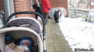 Miniature af billede nummer 1094