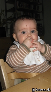 Miniature af billede nummer 1098