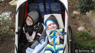 Miniature af billede nummer 1101