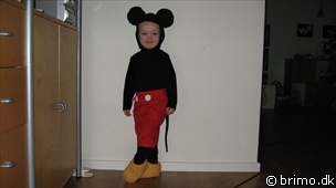 Miniature af billede nummer 1102