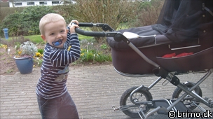 Miniature af billede nummer 1122