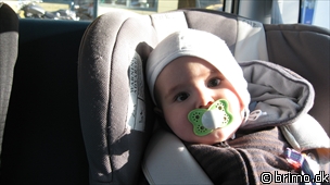 Miniature af billede nummer 1129