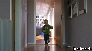 Miniature af billede nummer 1131