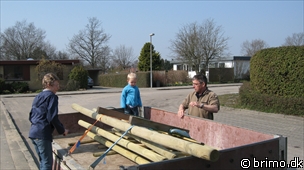 Miniature af billede nummer 1132