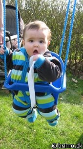 Miniature af billede nummer 1137