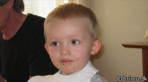 Miniature af billede nummer 1139