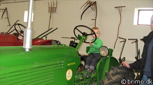 Miniature af billede nummer 1154