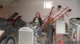 Miniature af billede nummer 1156