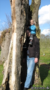 Miniature af billede nummer 1157