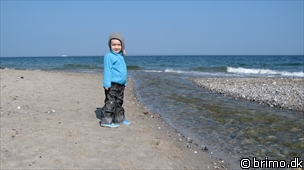 Miniature af billede nummer 1159