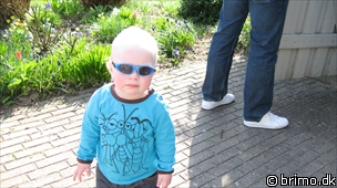 Miniature af billede nummer 1165