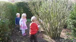 Miniature af billede nummer 1167