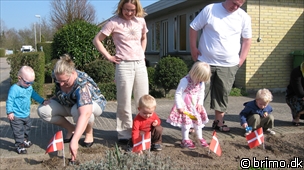 Miniature af billede nummer 1169