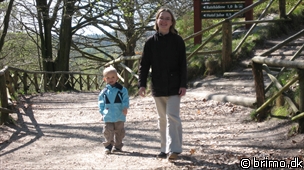 Miniature af billede nummer 1173