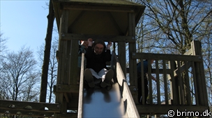 Miniature af billede nummer 1174