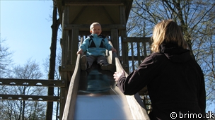 Miniature af billede nummer 1175