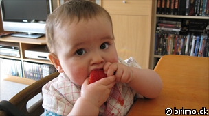 Miniature af billede nummer 1179