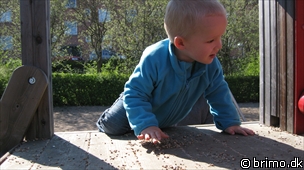 Miniature af billede nummer 1181