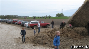 Miniature af billede nummer 1185