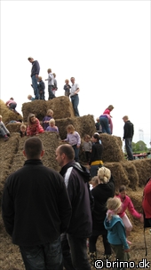 Miniature af billede nummer 1186