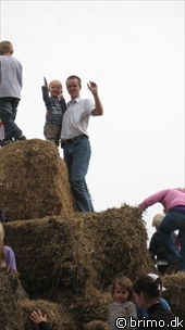 Miniature af billede nummer 1187