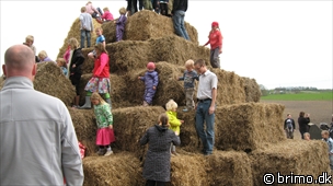 Miniature af billede nummer 1188