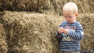 Miniature af billede nummer 1189