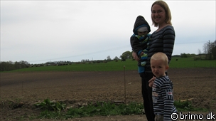 Miniature af billede nummer 1190