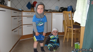 Miniature af billede nummer 1195