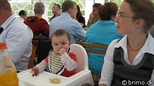 Miniature af billede nummer 1198