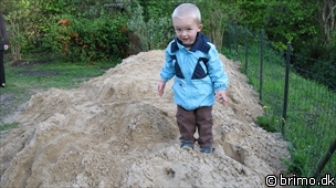 Miniature af billede nummer 1202