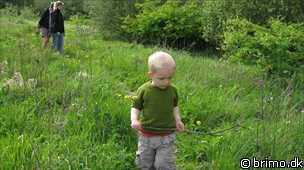 Miniature af billede nummer 1210