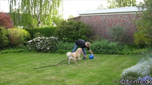 Miniature af billede nummer 1211