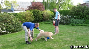 Miniature af billede nummer 1212