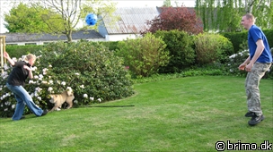 Miniature af billede nummer 1213