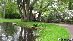 Miniature af billede nummer 1216